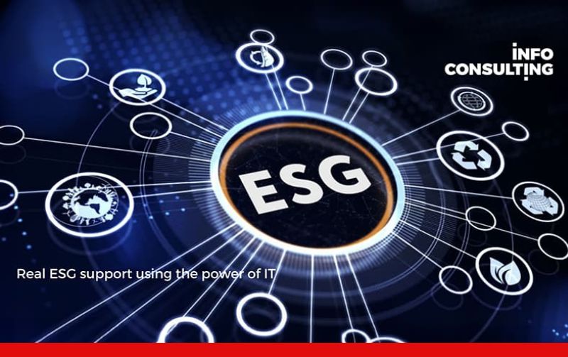 ESG Support Using the Power of IT