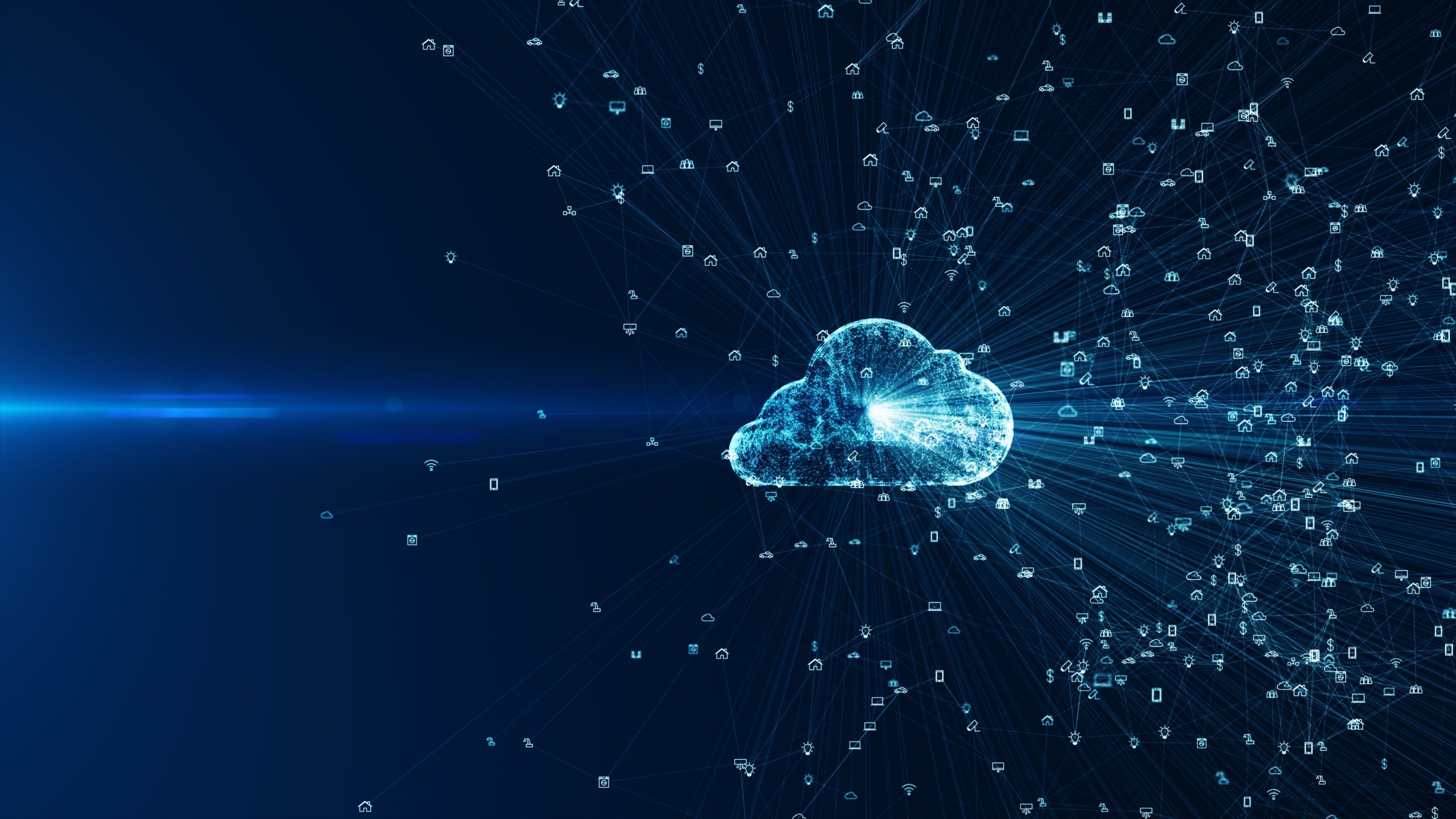 social network connections and information technology of the int